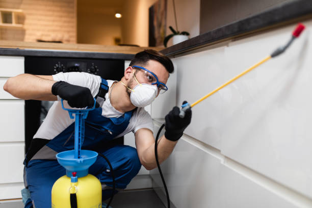 Flea Control Services in South Eliot, ME