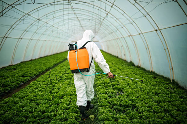 Best Pest Prevention Services  in South Eliot, ME