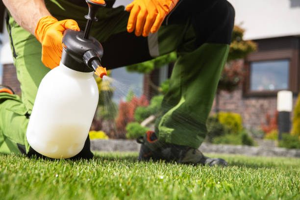 South Eliot, ME Pest Control Company