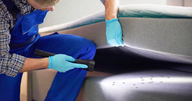 Best Bed Bug Extermination  in South Eliot, ME